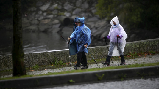Peregrinos en el camino inglés